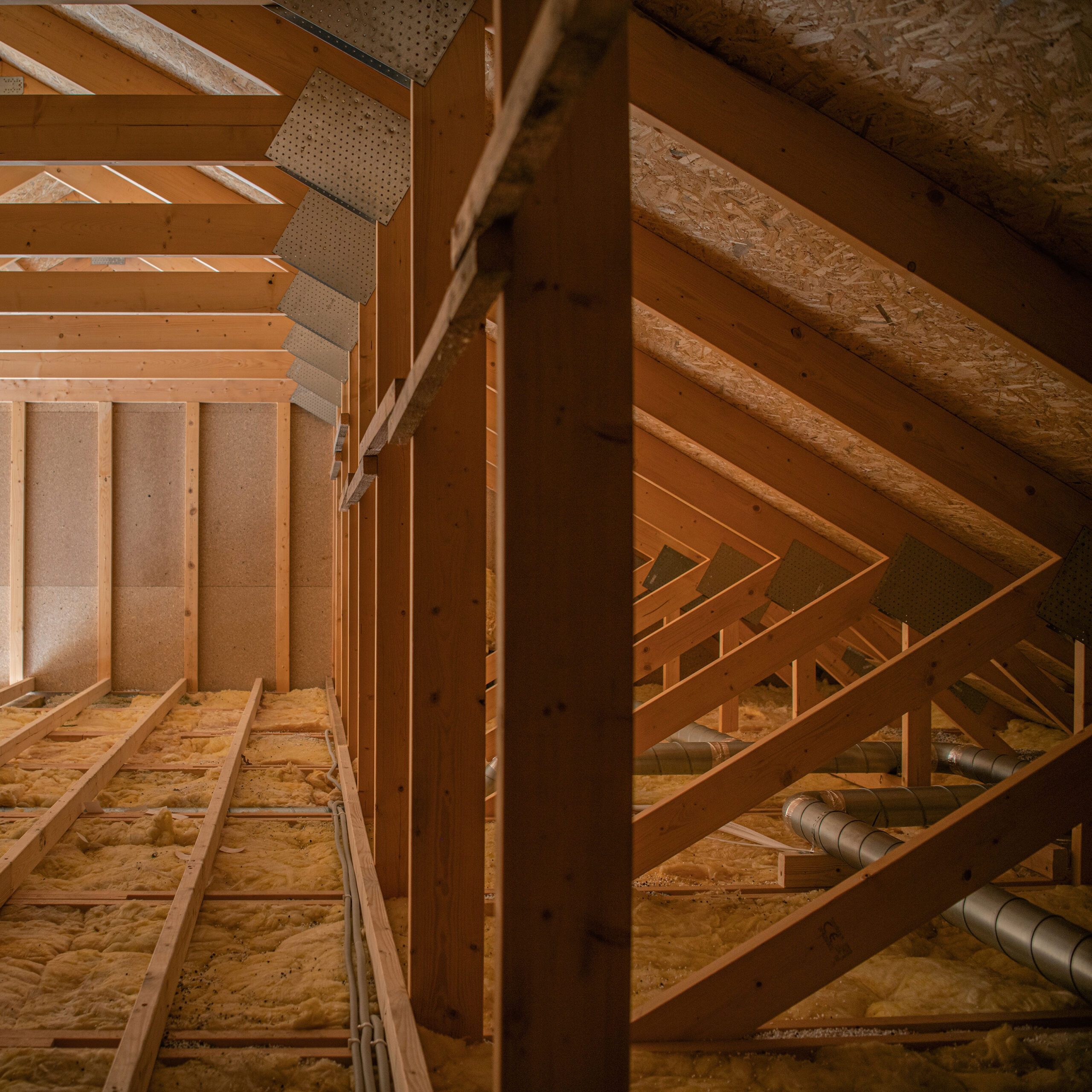 Northeast Wisconsin Attic Mold & Mildew Removal Services