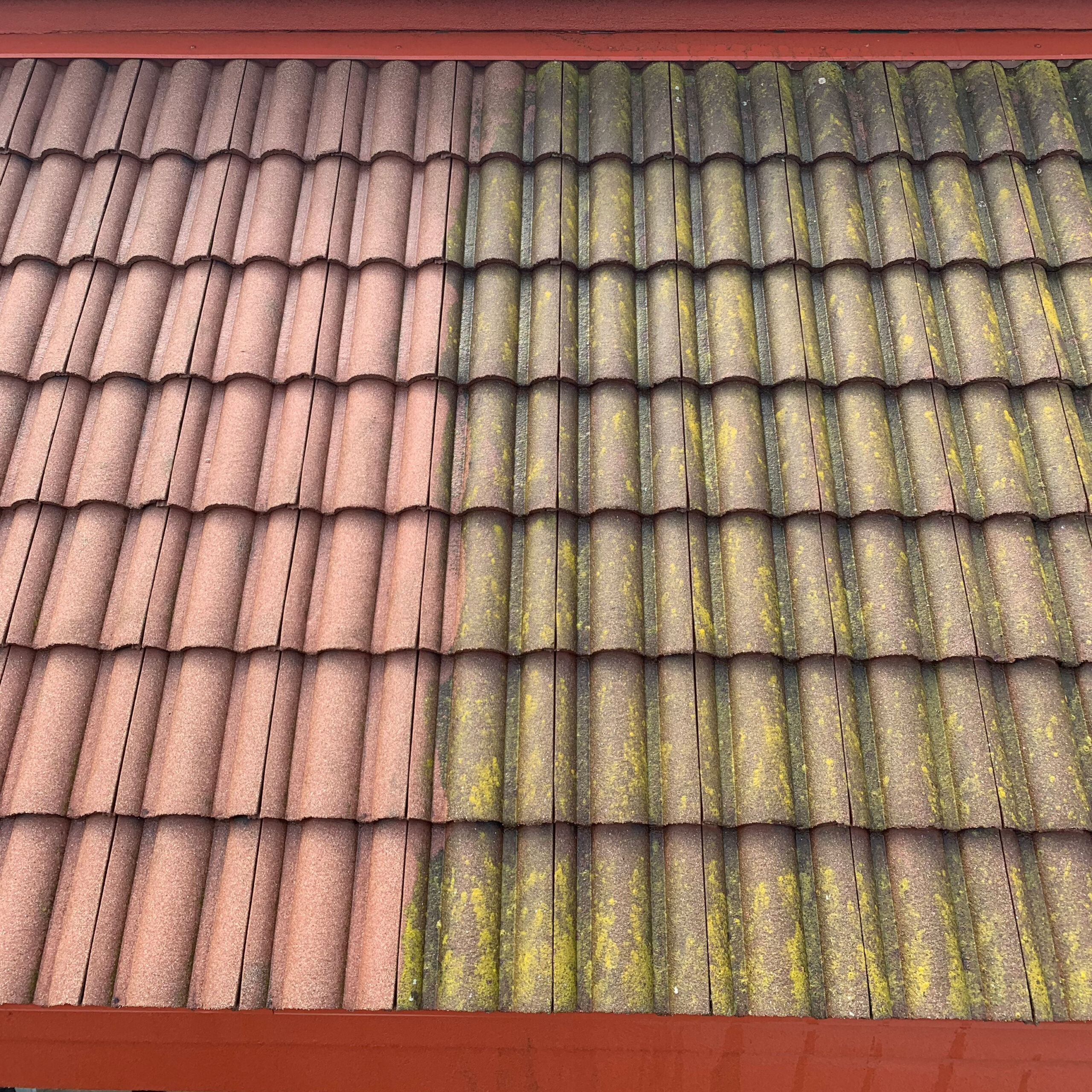 Northeast Wisconsin Roof Cleaning & Snow Removal
